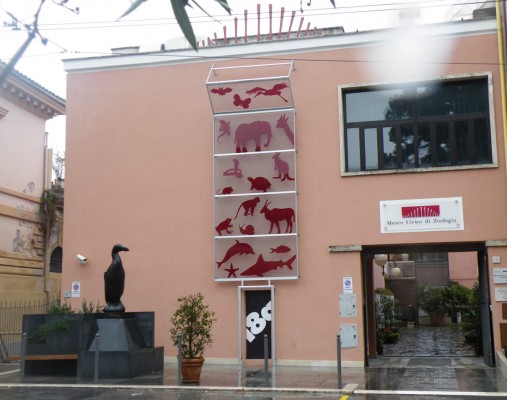 Museo Zoologico di Roma