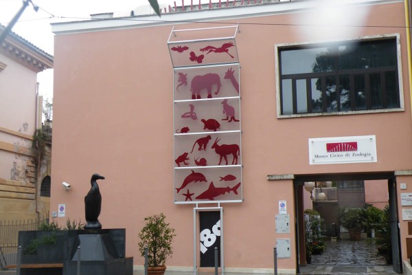 Museo Zoologico di Roma