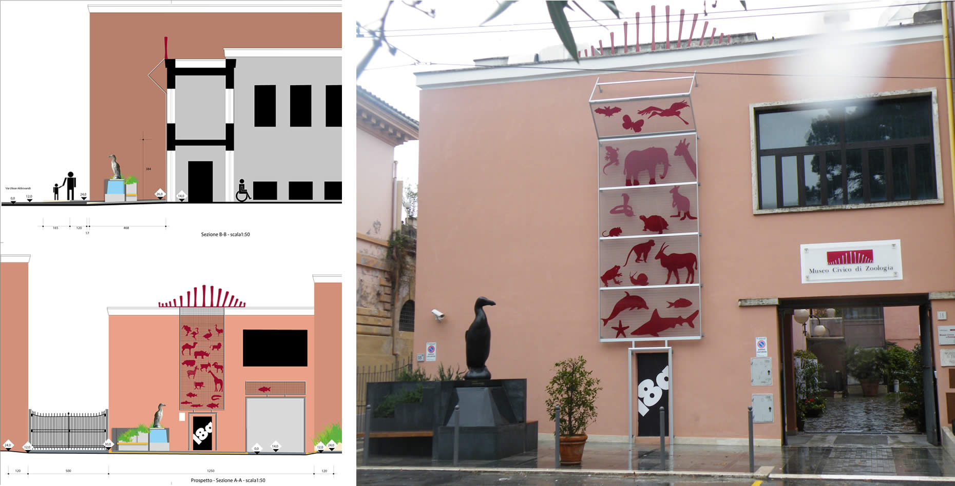 Allestimento esterno Museo Zoologico di Roma